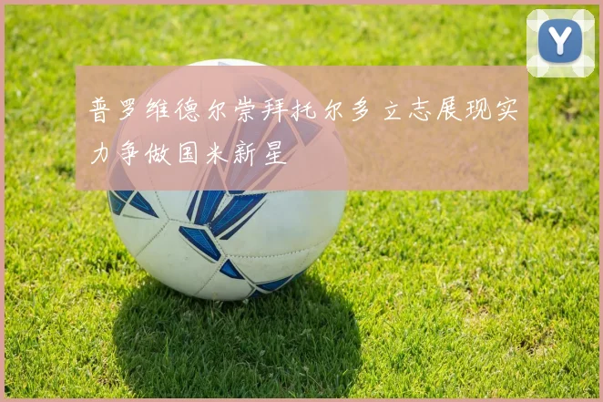 普罗维德尔崇拜托尔多立志展现实力争做国米新星