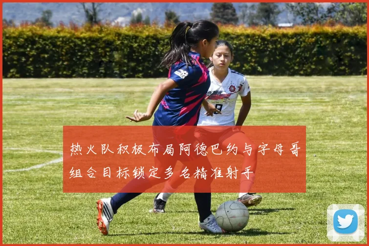 热火队积极布局阿德巴约与字母哥组合目标锁定多名精准射手