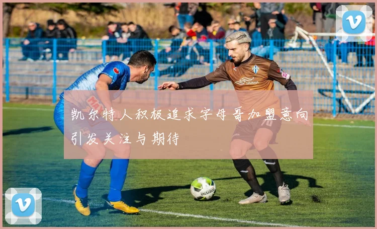 凯尔特人积极追求字母哥加盟意向引发关注与期待